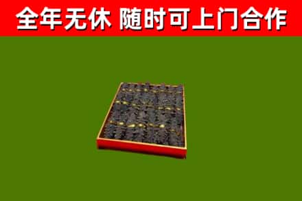 远安县回收海参